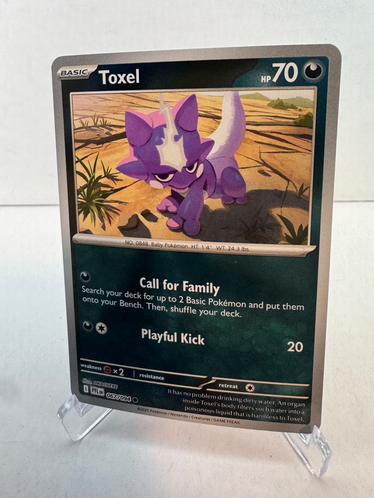 Toxel 67/94 - Reverse Holofoil NM - ME: Phantasmal Flames - Pokémon TCG