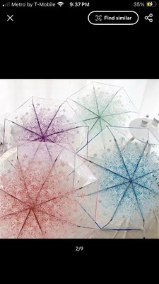Let It Rain, Blossom in Style!