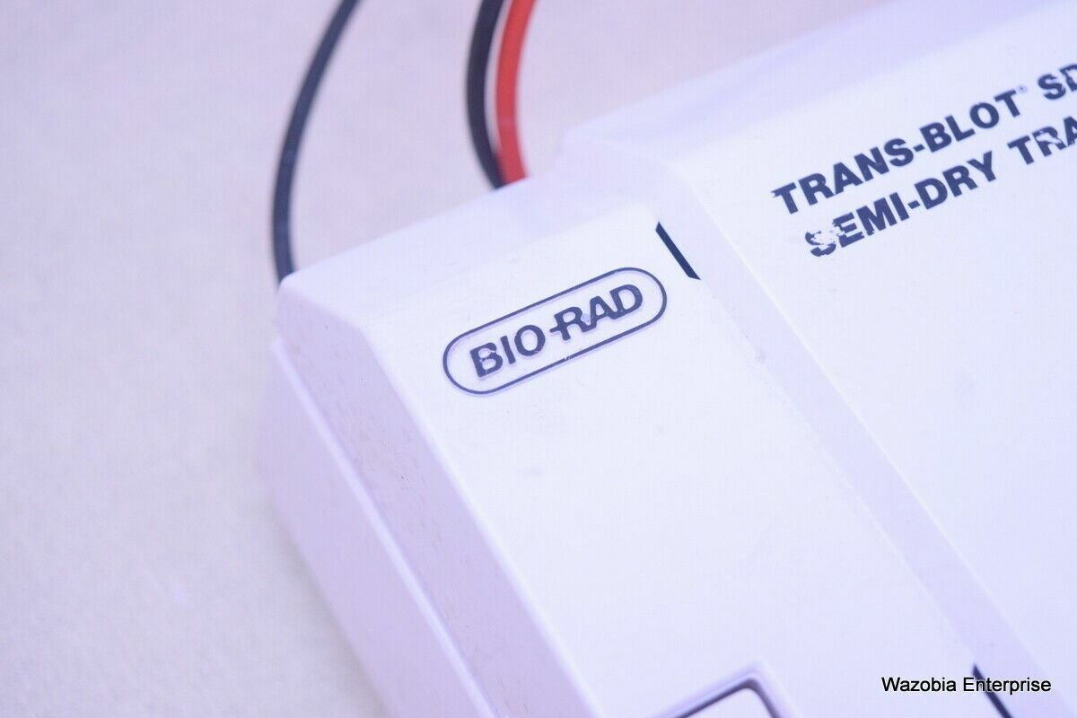 BIO RAD TRANS-BLOT SD SEMI DRY TRANSFER CELL
