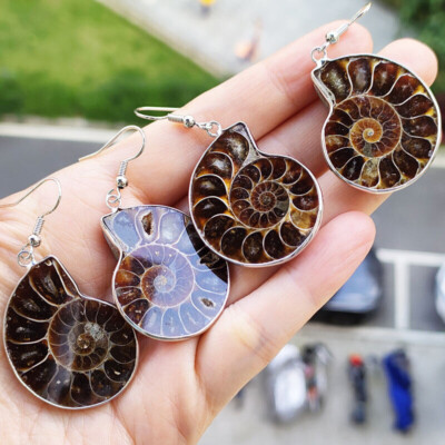 10 Pieces Natural Ammonite Fossil Pendants - For Chakra, Reiki & Energy Healing