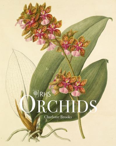 RHS Orchids by Charlotte Brooks (2022, Hardcover) - Image 2