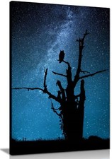 Blue Night Sky Owl Silhouette Framed Canvas Print Wall Art Home Decor
