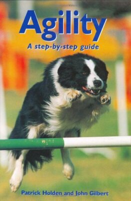 Agility: A Step-By-Step Guide By Patrick Holden, John Gilbert