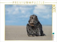 Calvendo Puzzle An Irish Wolfhound Is Lying Relaxed In The Sun On The Beach | 10