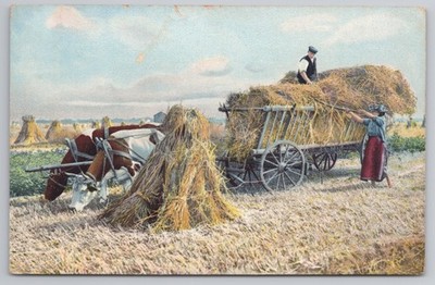 Heuwagen Beladung mit Ochsen, Photochromie Nr. 1731, handgetönte ländliche Szene