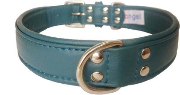 puppy collars for sale