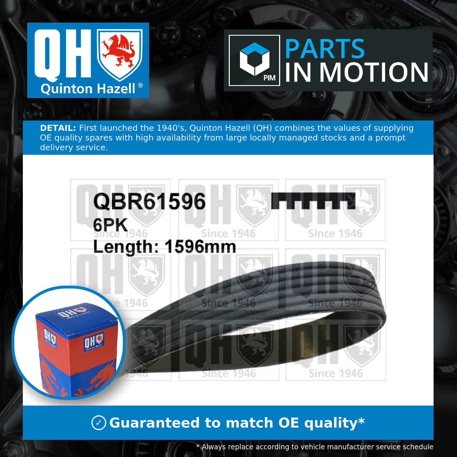 6 Rib Multi V Drive Belt QBR61596 Quinton Hazell 8980000230 6340673 98000023 New