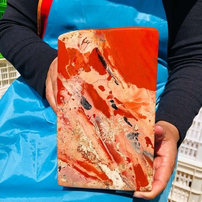 18.06LB Large Natural Red Jasper ore standard Quartz Crystal Healing Sample 4425