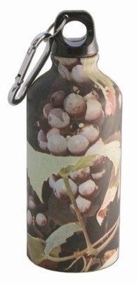 Liason Wild & Wolf Ltd Water Bottle Grapes 7 Inch Vinyl FL016 NEW