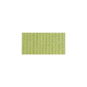 Bernat-Super-Value-Yarn-7-oz-Gauge-4-Medium-Worsted-Soft-Fern