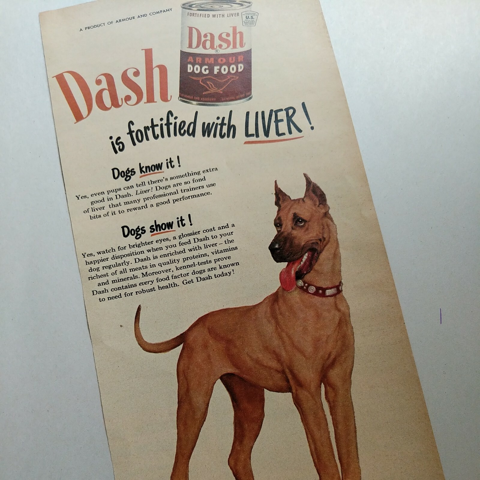 Great Dane 1949 Original Magazine Ad