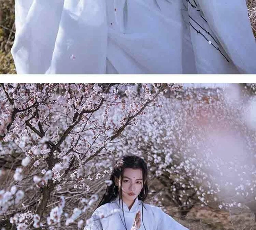 Men Chinese Ancient Traditional Hanfu Halloween Costume Fancy Dress StreetWear - Bild 13 von 13