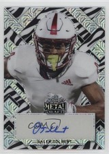 Metal Portrait Zebra Jalen