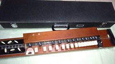 Kimura CHIGUSA     Electric Taisho Koto Taishogoto  Hard Case  01 