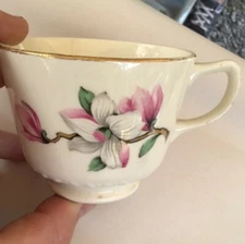 Homer Laughlin set of dishes And serving pieces