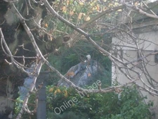 Photo 6x4 Oscar Wilde in Merrion Square Baile Atha Cliath/O1632 Reclinin c2009