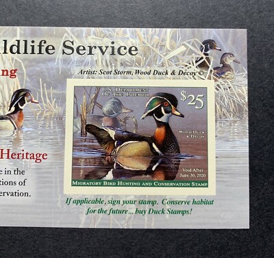 WTDstamps - #RW86A 2019 - 2020 - US Federal Duck Stamp - Post