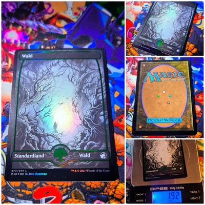 MTG Forest V.2    Nm Eternal Night Full Art FOIL Innistrad: Midnight Hunt OG