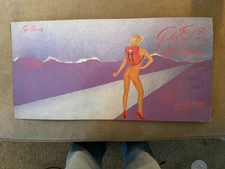 PINK FLOYD: Roger Waters~”Pros & Cons Of Hitchhiking” Promo Display 24"X12"