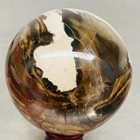Natural Petrified Wood Polished Stone Quartz Crystal Sphere Ball Healing 1200G — photo 3