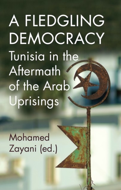 A Fledgling Democracy by Mohamed Zayani (Paperback Book)