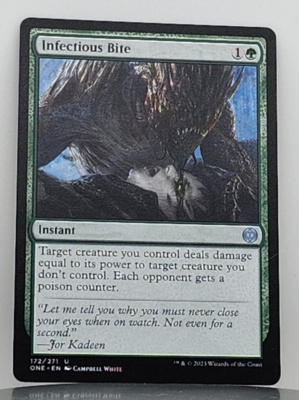 MTG ピナ MTG 4X JAPANESE 4TH EDITION BIRD MAIDEN NM MAGIC THE GATHERING RED