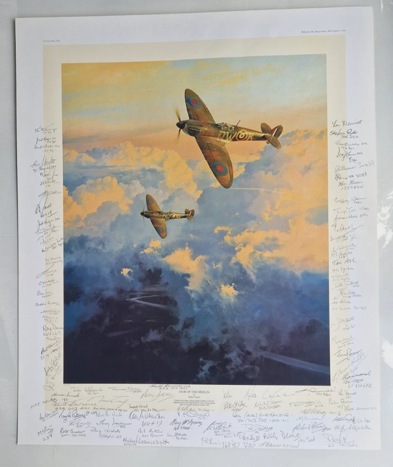 Sigh of the Merlin - Spitfire - Robert Taylor Print - Multi signed - Image 1 of 4