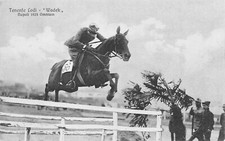A880) IPPICA, CAVALLERIA, OMNIUN 1923 NAPOLI IL TENENTE LODI SU WADEK.