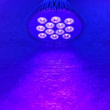 36W UV 395nm 400nm PAR38 Ultraviolet Purple LED Lamp Spot Light Bulb for Curing
