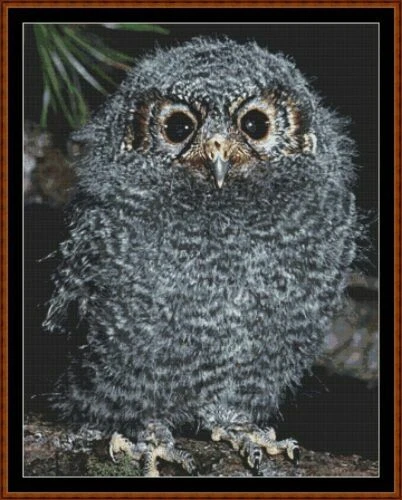 Cross Stitch Patterns