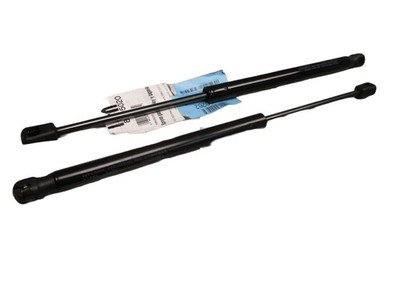 Gasfeder für Heckscheibe 2 Stück für Renault Clio II für ERSATZTEIL 8505020