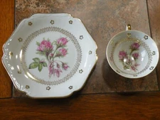 Vintage Mitterteich Bavaria Germany Porcelain Tea Cup and Plate    FREE SHIP