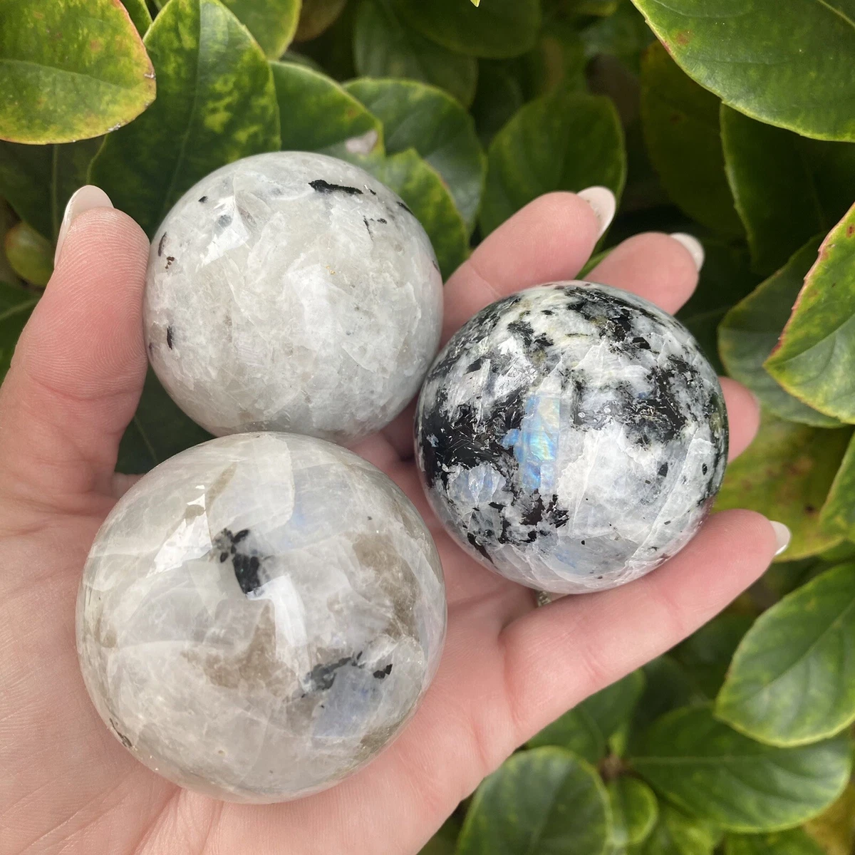 Genuine rainbow deals moonstone