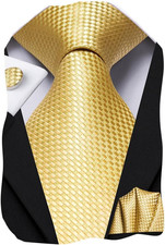 Mens Paisley Floral Silk Tie for Men Striped Necktie and Pocket Square Cufflinks