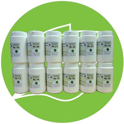 SCHÜSSLER SALZE SET 1 (13-24) 12 x 1000 Tabletten glutenfrei PZN 08000347
