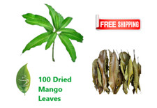 Hojas de mango secas orgánicas para té ve…