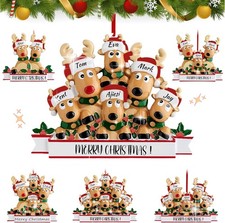 Personalized Reindeer Christmas Ornament 2025, Custom Name Resin, Family of 6