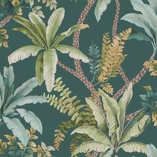 Image of Holden Trailing Palm Tree Leaves Jungle Leaf Trail Foliage Botanical Wallpaper