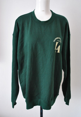 Plus size green long sleeve women's pullover sweat hoodie jumper size L Bohoo