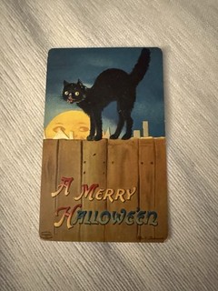 Vintage Antique Halloween Clapsaddle Postcard Black Cat on Fence Moon