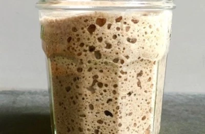 MOM'S HEIRLOOM SAN FRAN SOURDOUGH STARTER SOURDOUGH STARTER 233yo family heirloom Certified Organic! ! Large sample