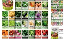 Survival Vegetable Seeds Garden Kit Over 16,000 Seeds Non-GMO and Heirloom,