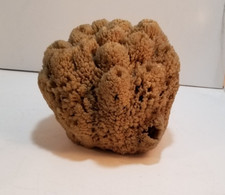 natural sea sponge very round 6" high by 7" wide by 7" wide