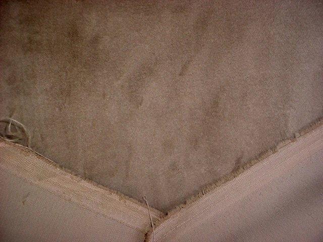 Tecido de estofamento de veludo 7-5/8Y Chivasso CH3054 The Touch marrom fawn pilha alta - Imagem 4 de 4