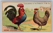 Prize Leghorns Chicken Rooster Trade Card Domestic Sewing Machine Advertising