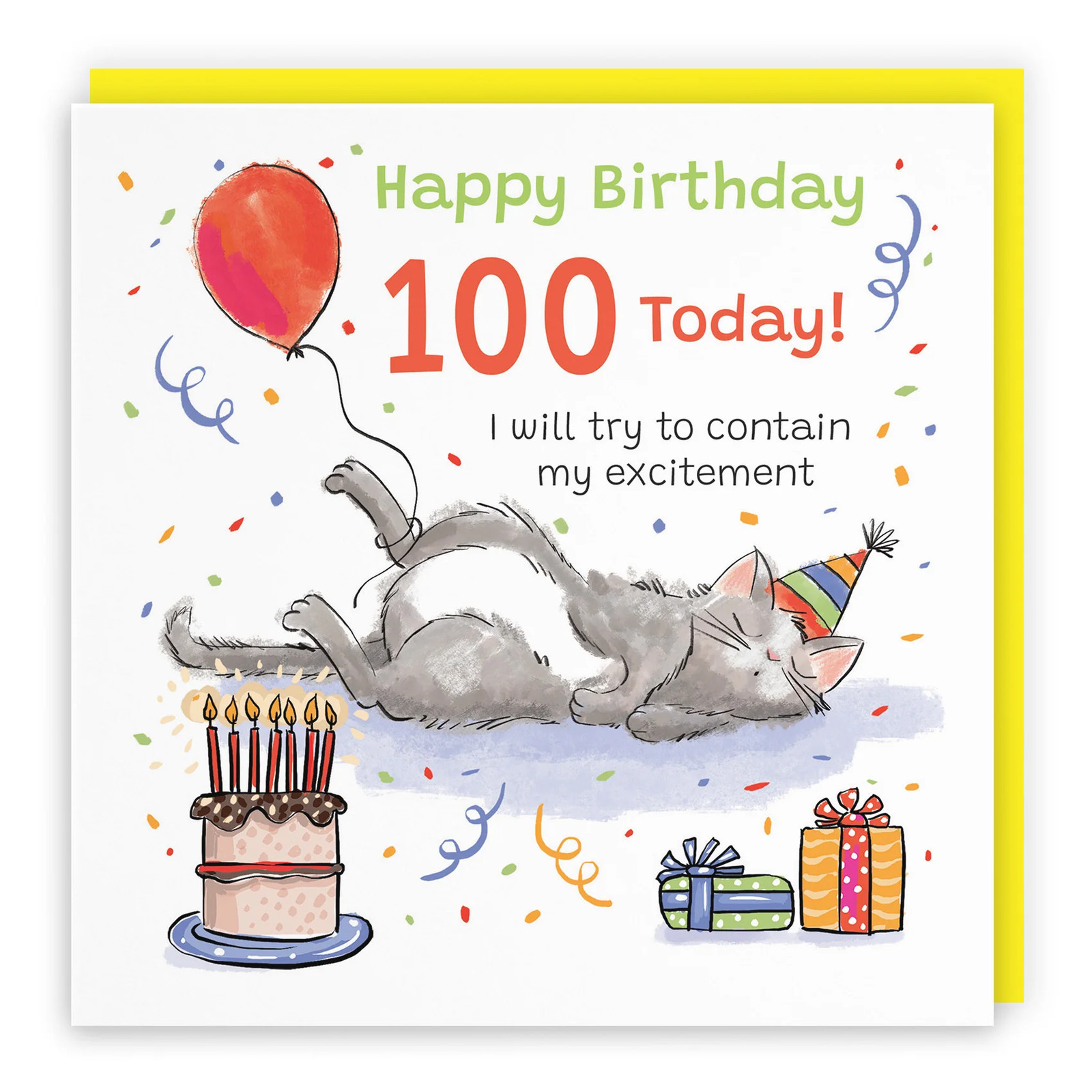 100th Birthday Card Sleepy Cat Animal Party