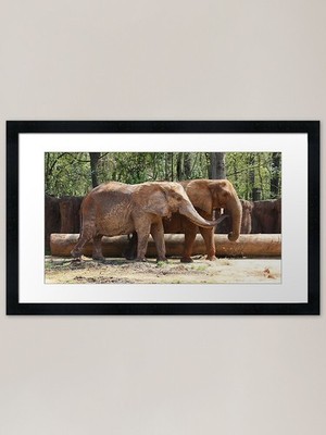 Share the Hay Gerahmter Kunstdruck Gerahmtes Wandbild Poster Leinwanddruck Bild