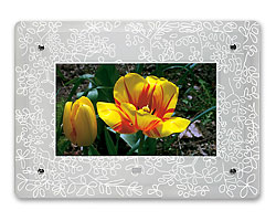 Kodak Kodak Faceplate for Kodak 8-Inch Digital Picture Frames Floral Glass 8" Digital Picture Frame