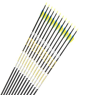 12pcs Archery Carbon Arrows ID4.2mm 1.75''Plastic Vane Target Point