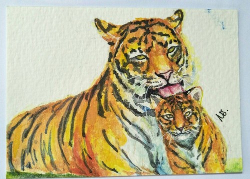 Tiger mother licking cub big cat ATC aceo wildlife love animal original watercol